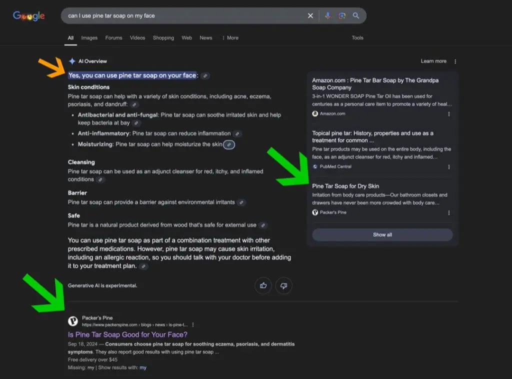 Google AI Overview Google AI Overview